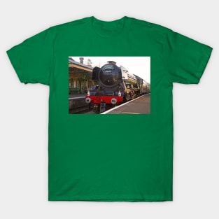 National Treasure, March 2019 T-Shirt